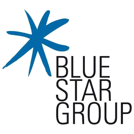 blue star group bsg.global